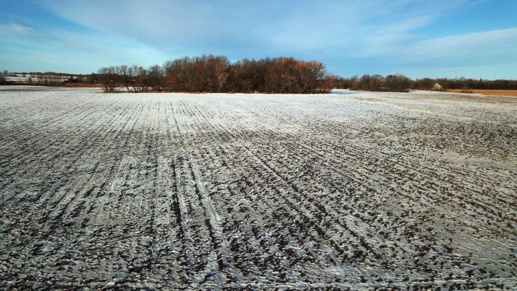 XXX Judicial Ditch Road, Nelson, Minnesota image 18