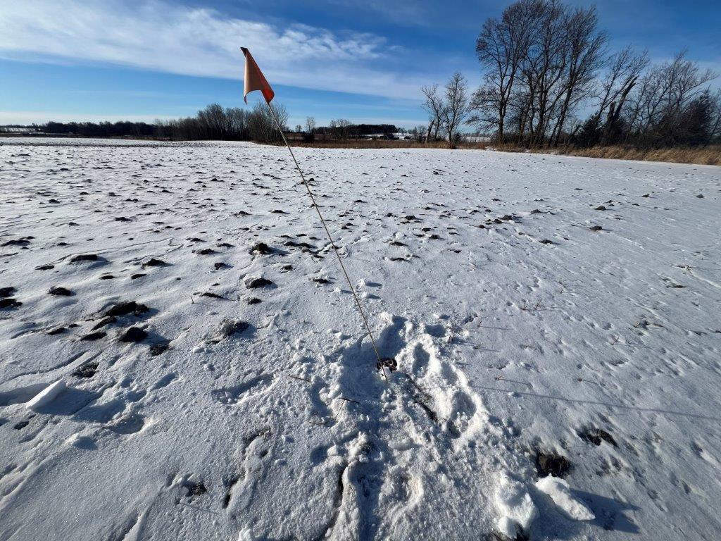 XXX Judicial Ditch Road, Nelson, Minnesota image 16