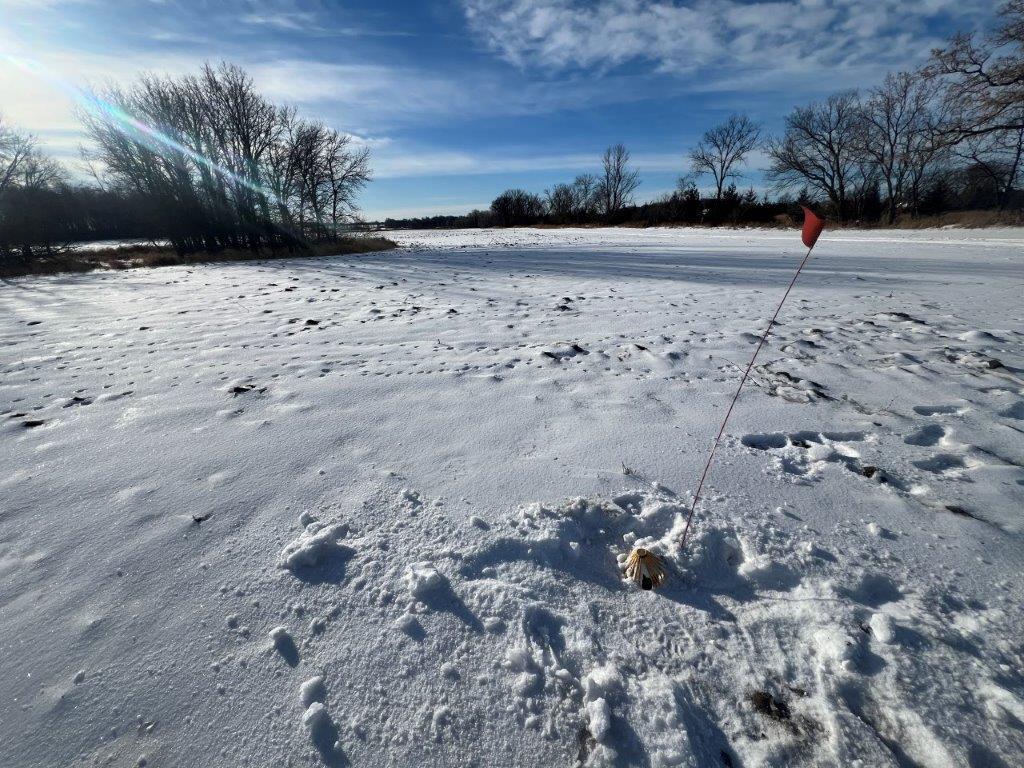 XXX Judicial Ditch Road, Nelson, Minnesota image 12