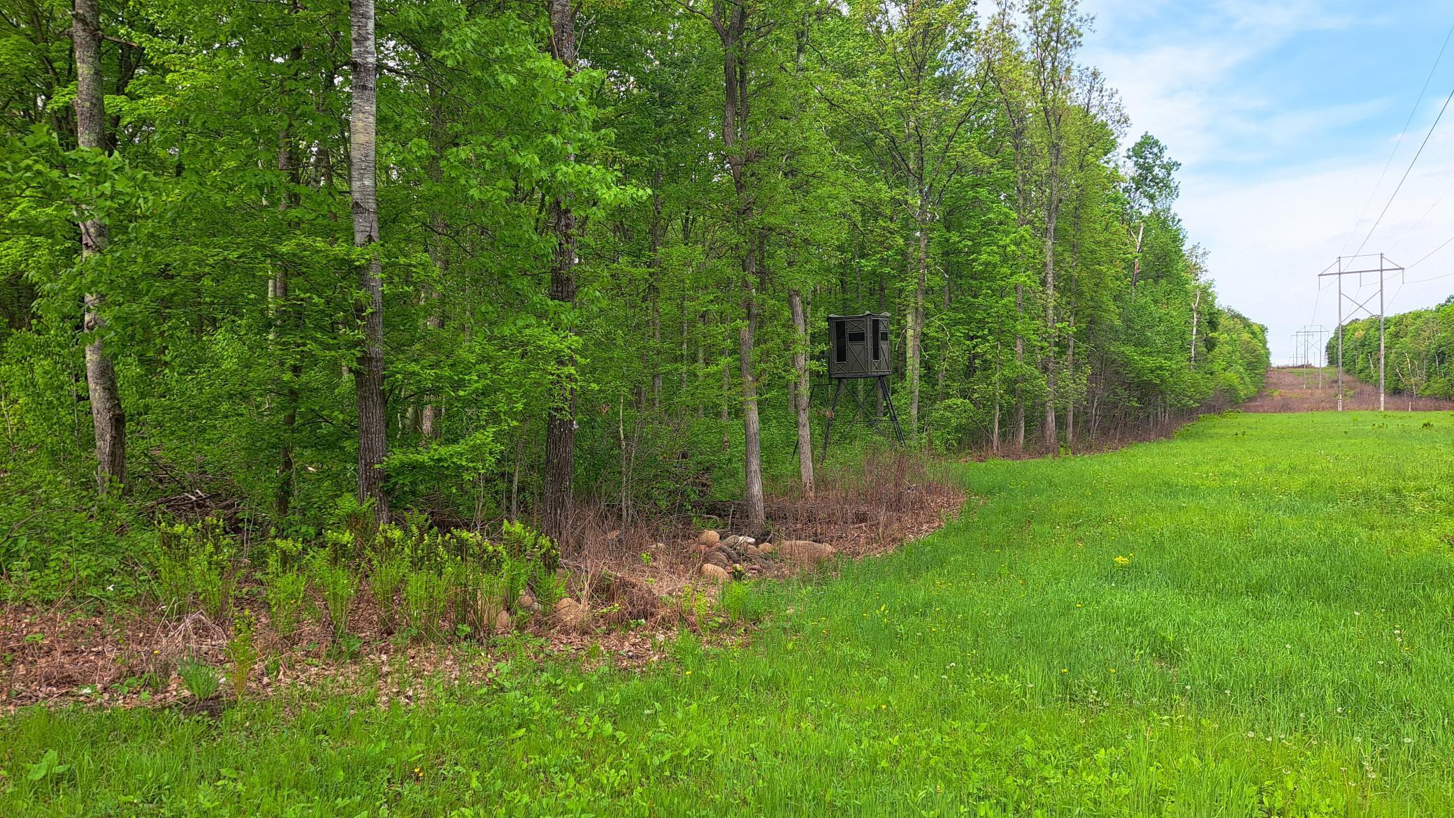 5009 N Degenaar Drive, Spooner, Wisconsin image 2