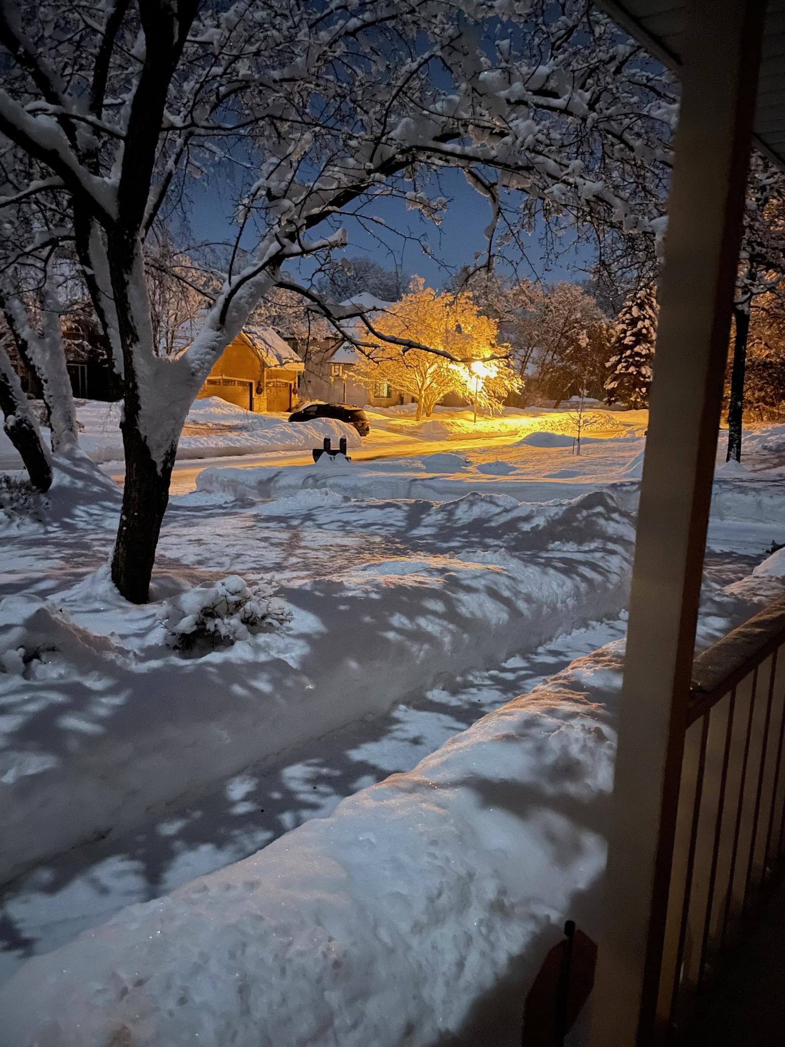 16786 Jackpine Trail, Lakeville, Minnesota image 43