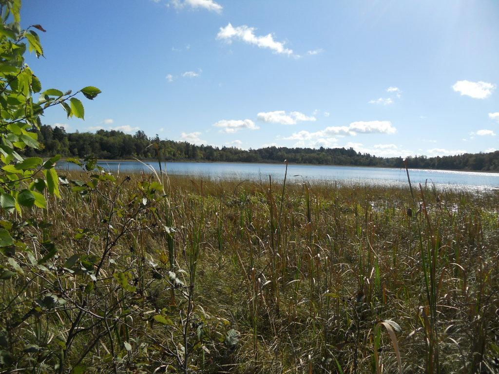 TBD County 118 Road, Backus, Minnesota image 1