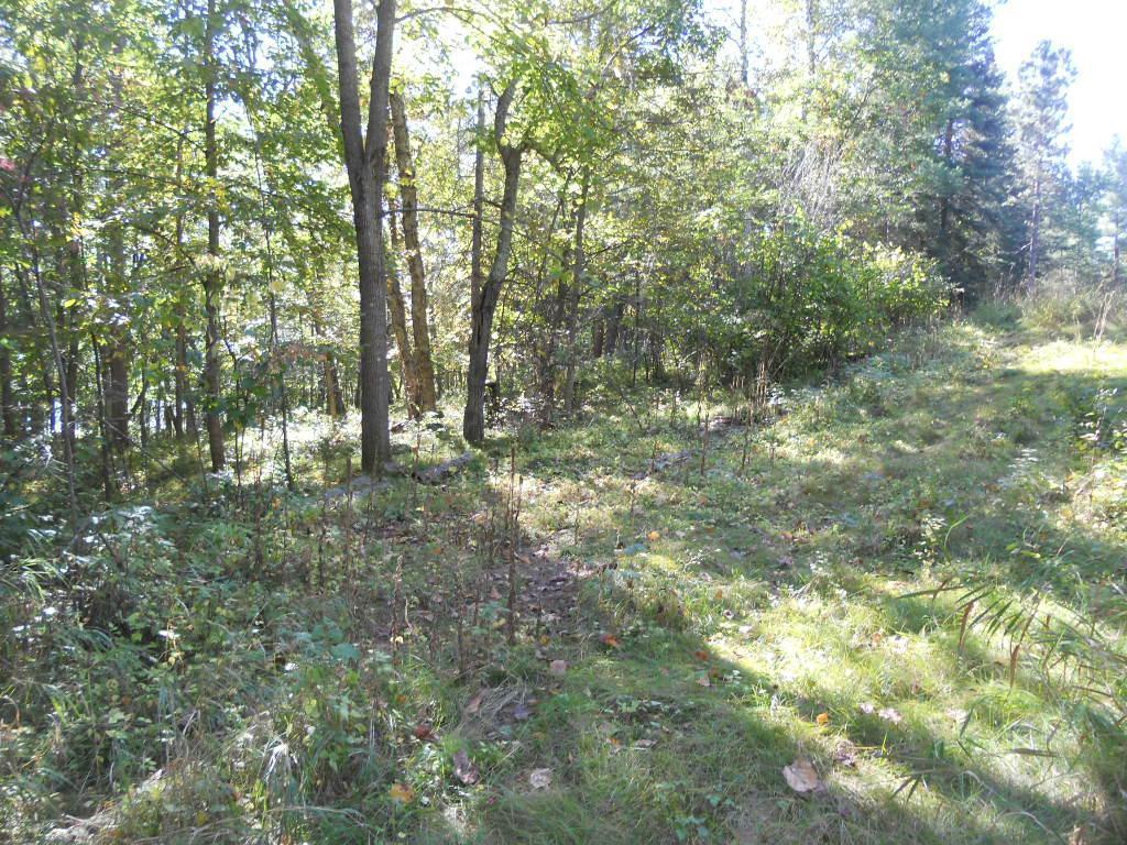 TBD County 118 Road, Backus, Minnesota image 6