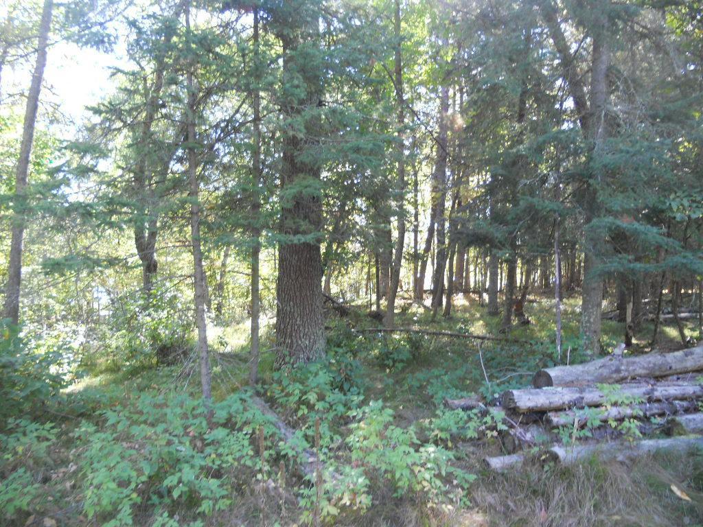 TBD County 118 Road, Backus, Minnesota image 3