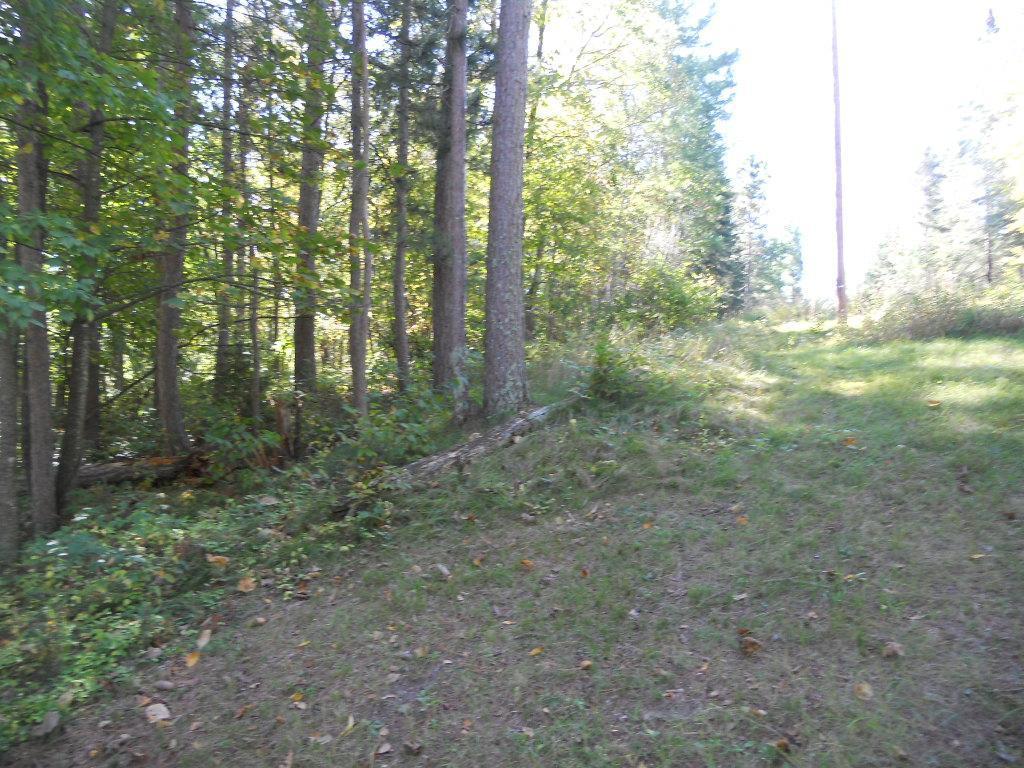 TBD County 118 Road, Backus, Minnesota image 7