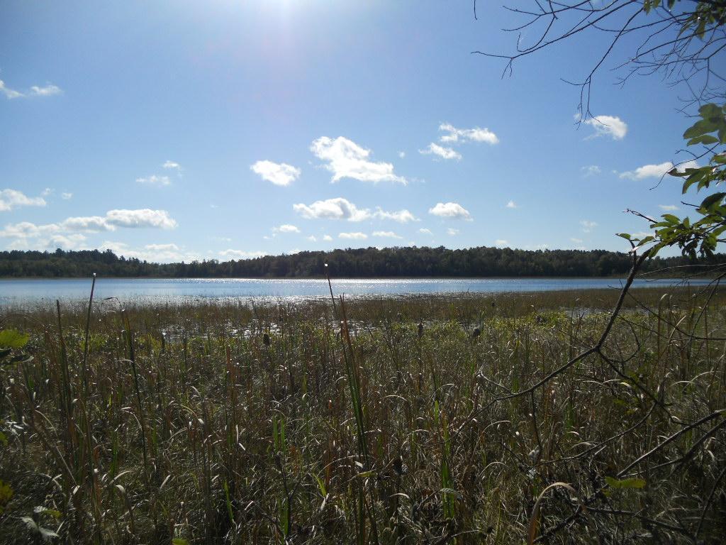 TBD County 118 Road, Backus, Minnesota image 5