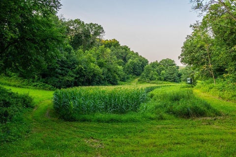 Vacant Land For Sale - TBD County Road S<br/> Trempealeau County, Blair, WI 54616