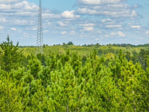 Vacant Land For Sale - TRACT D Highway 21<br/> Babbitt, MN 55706