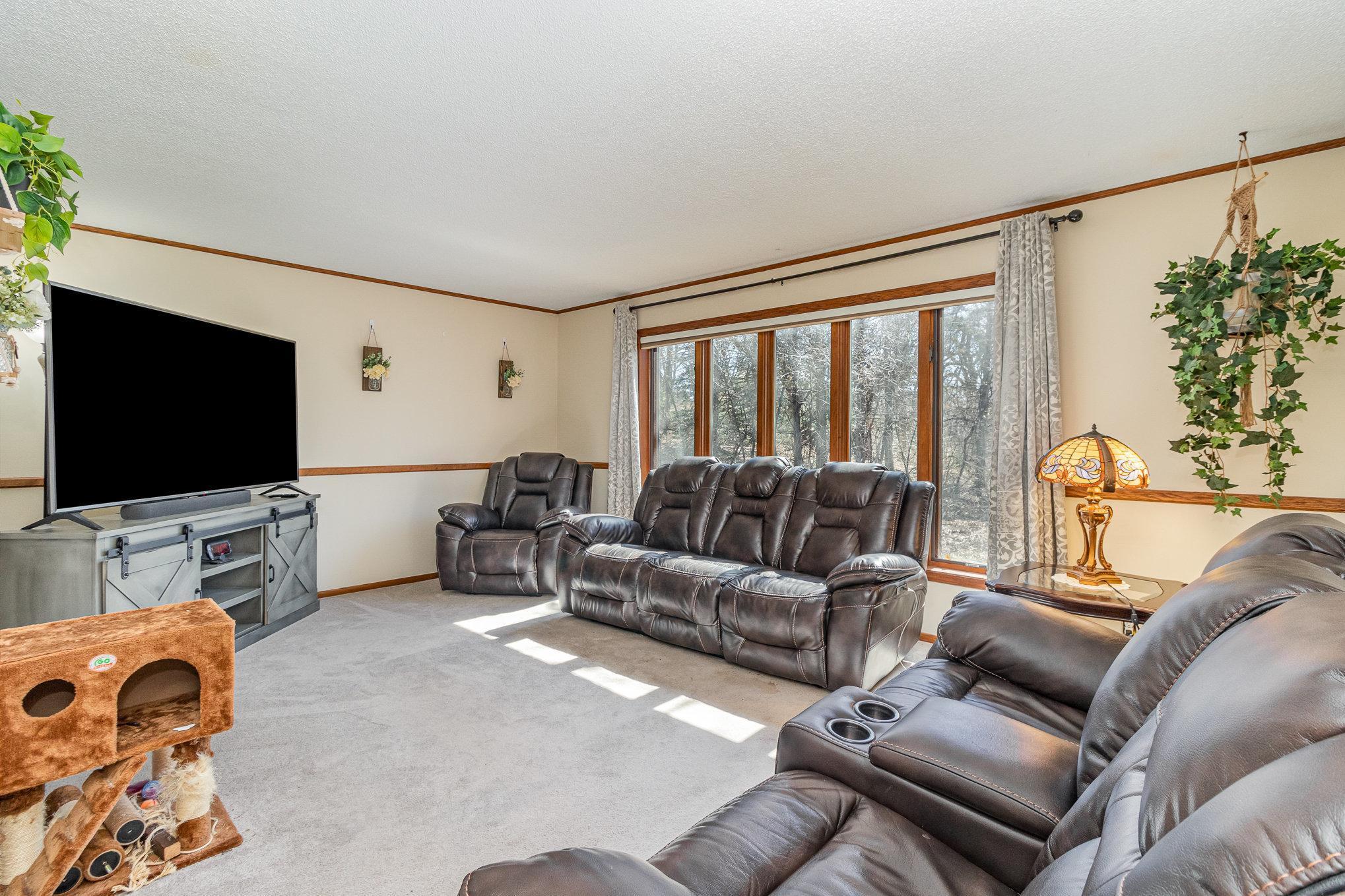 16266 172nd Avenue, Big Lake, Minnesota image 8