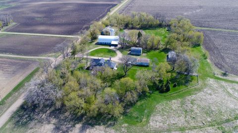 Homes For Sale - 21497 120th Street<br/> Pope County, Glenwood, MN 56334