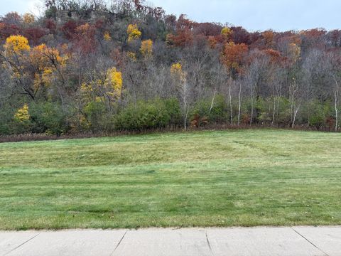 Vacant Land For Sale - 2579 Clubhouse Drive<br/> Wabasha County, Lake City, MN 55041