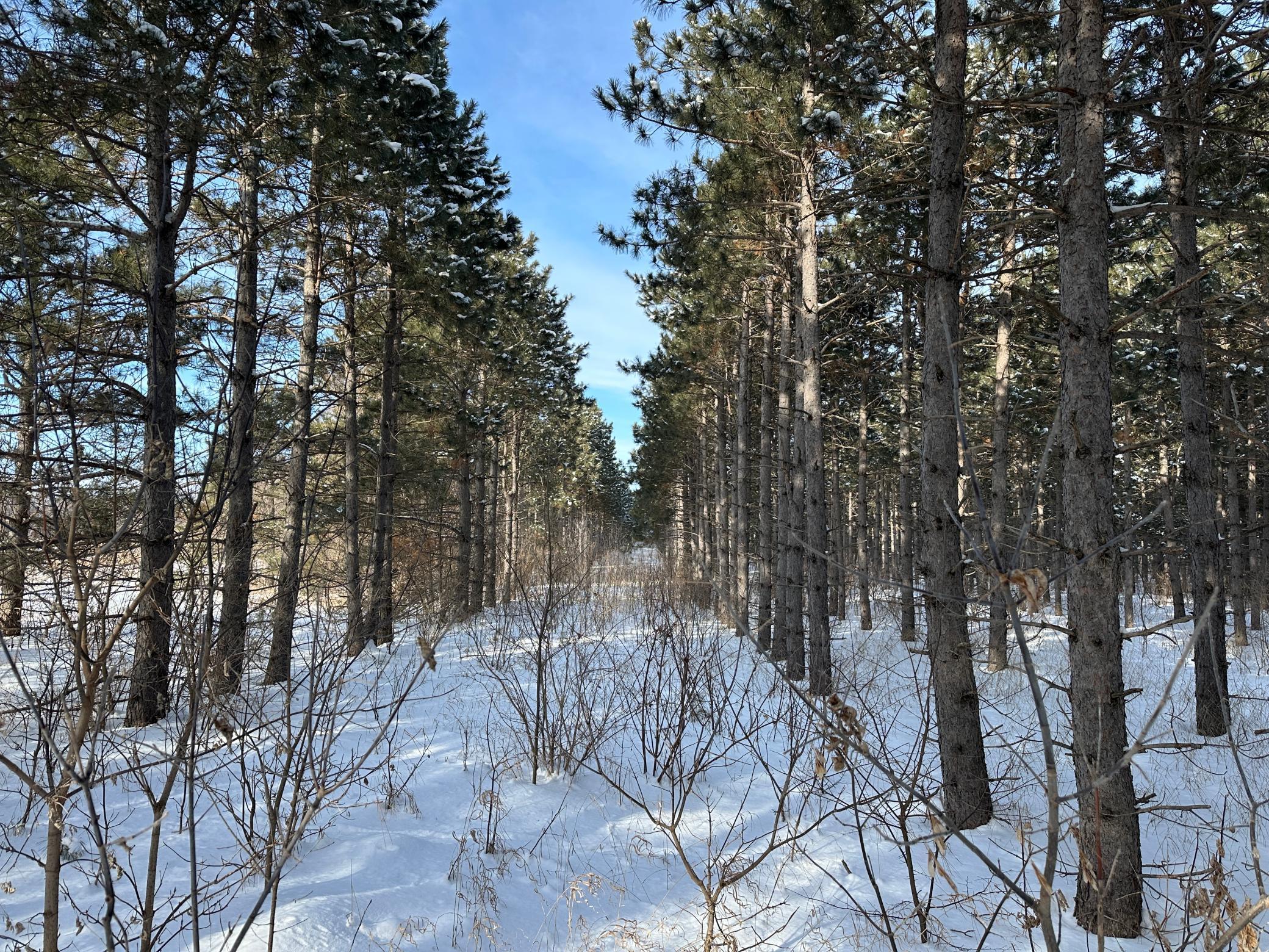 TBD Hwy 59, Erhard, Minnesota image 16