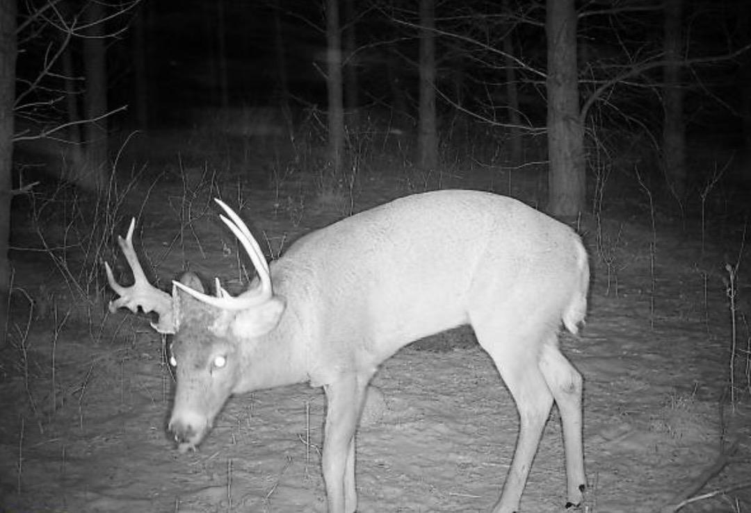 TBD Hwy 59, Erhard, Minnesota image 17