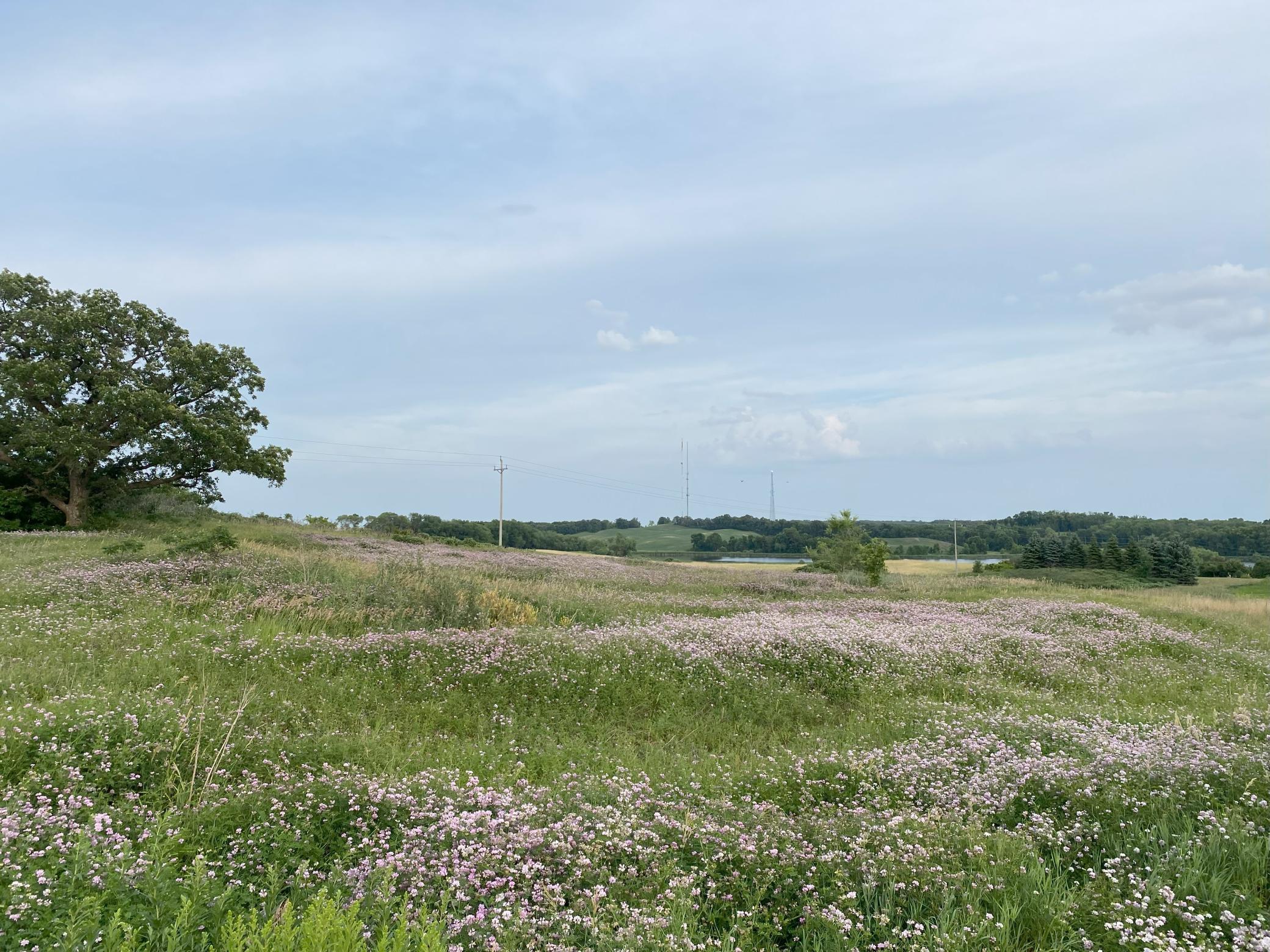 Lot 21 Block 1 Kaycee Lane, Garfield, Minnesota image 2