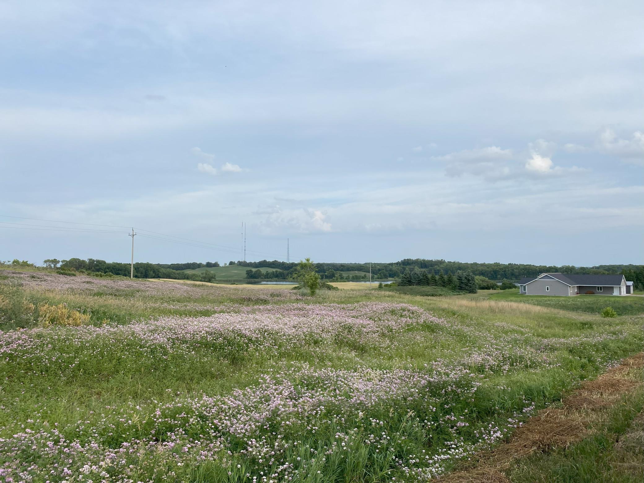 Lot 21 Block 1 Kaycee Lane, Garfield, Minnesota image 1