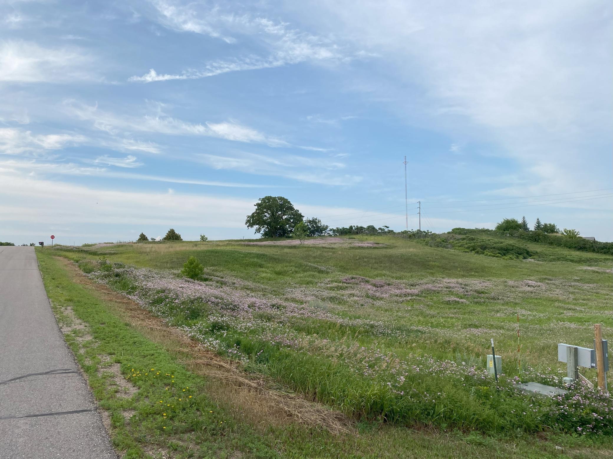 Lot 21 Block 1 Kaycee Lane, Garfield, Minnesota image 4