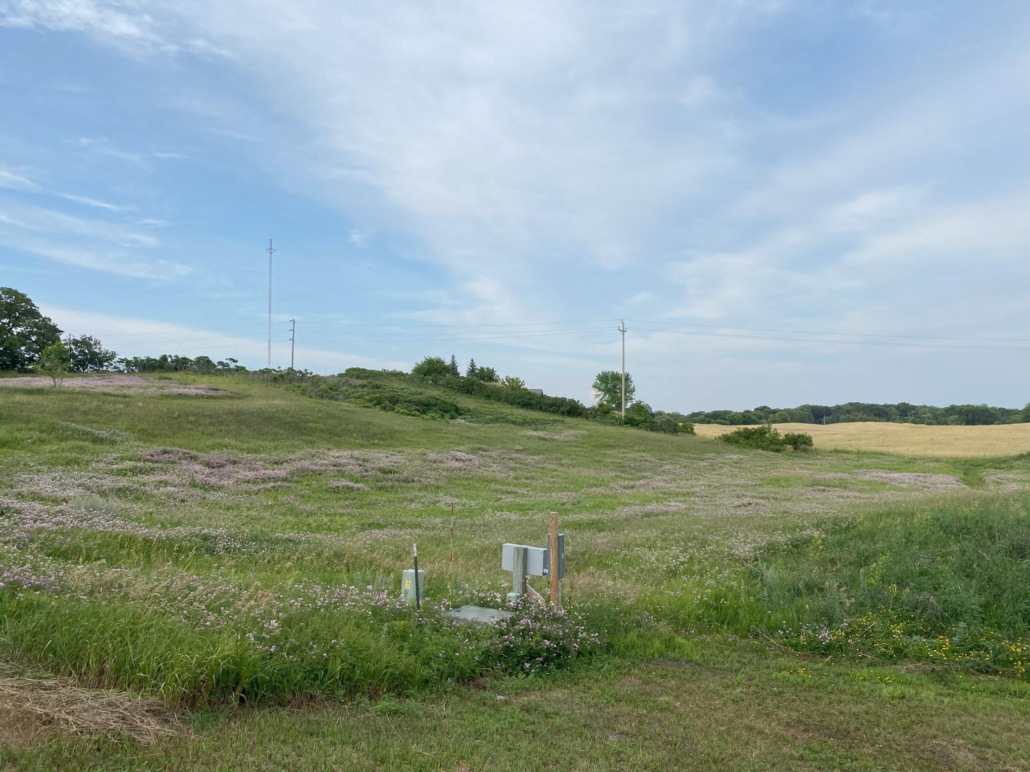 Lot 21 Block 1 Kaycee Lane, Garfield, Minnesota image 3