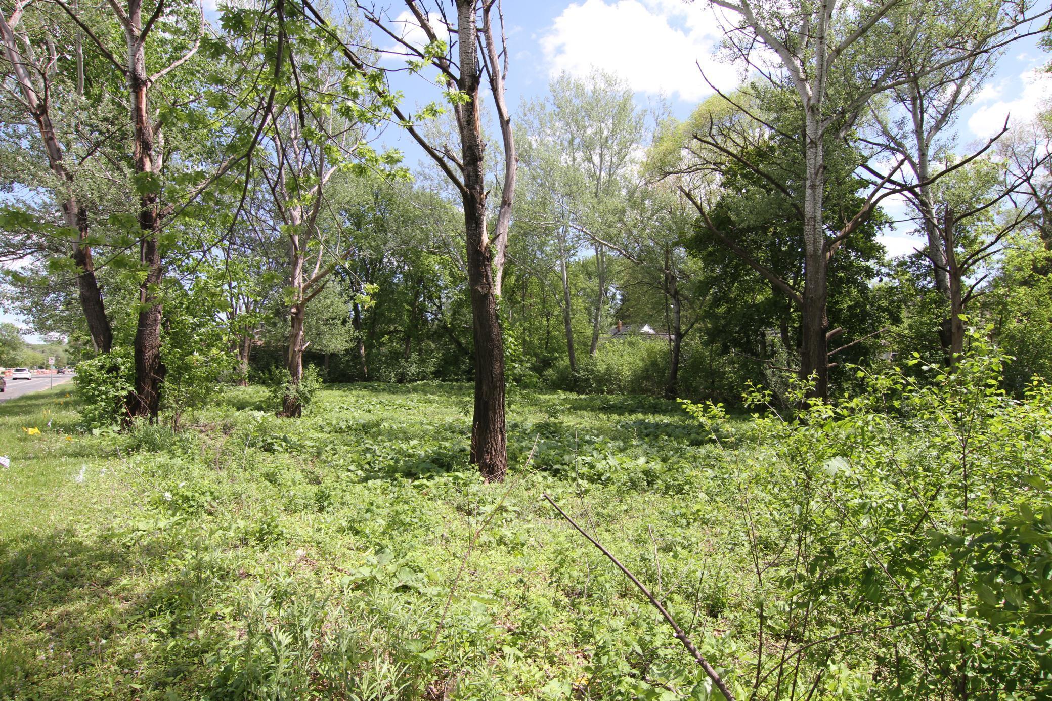 17xx Cope Avenue, Saint Paul, Minnesota image 9
