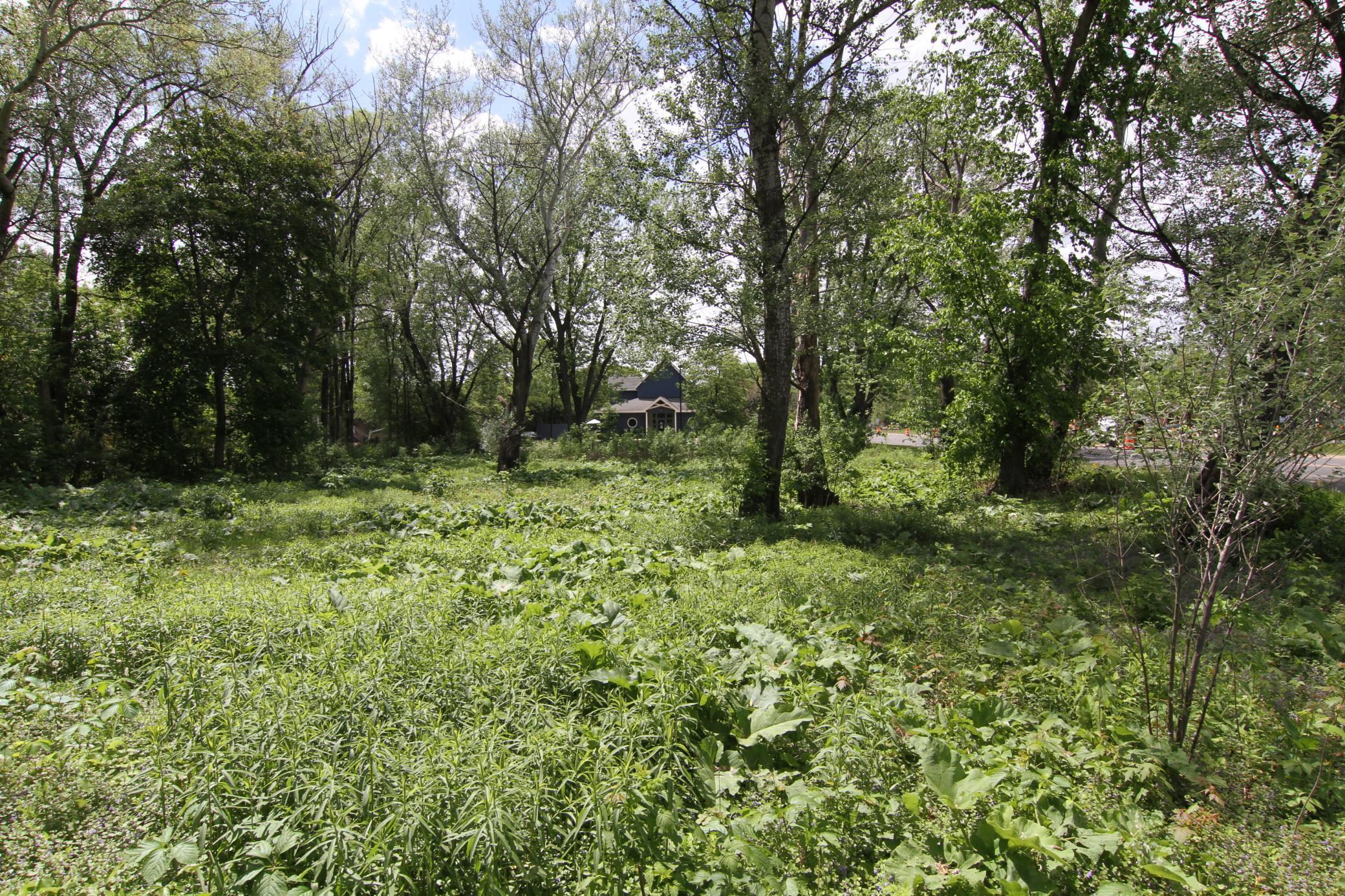 17xx Cope Avenue, Saint Paul, Minnesota image 3