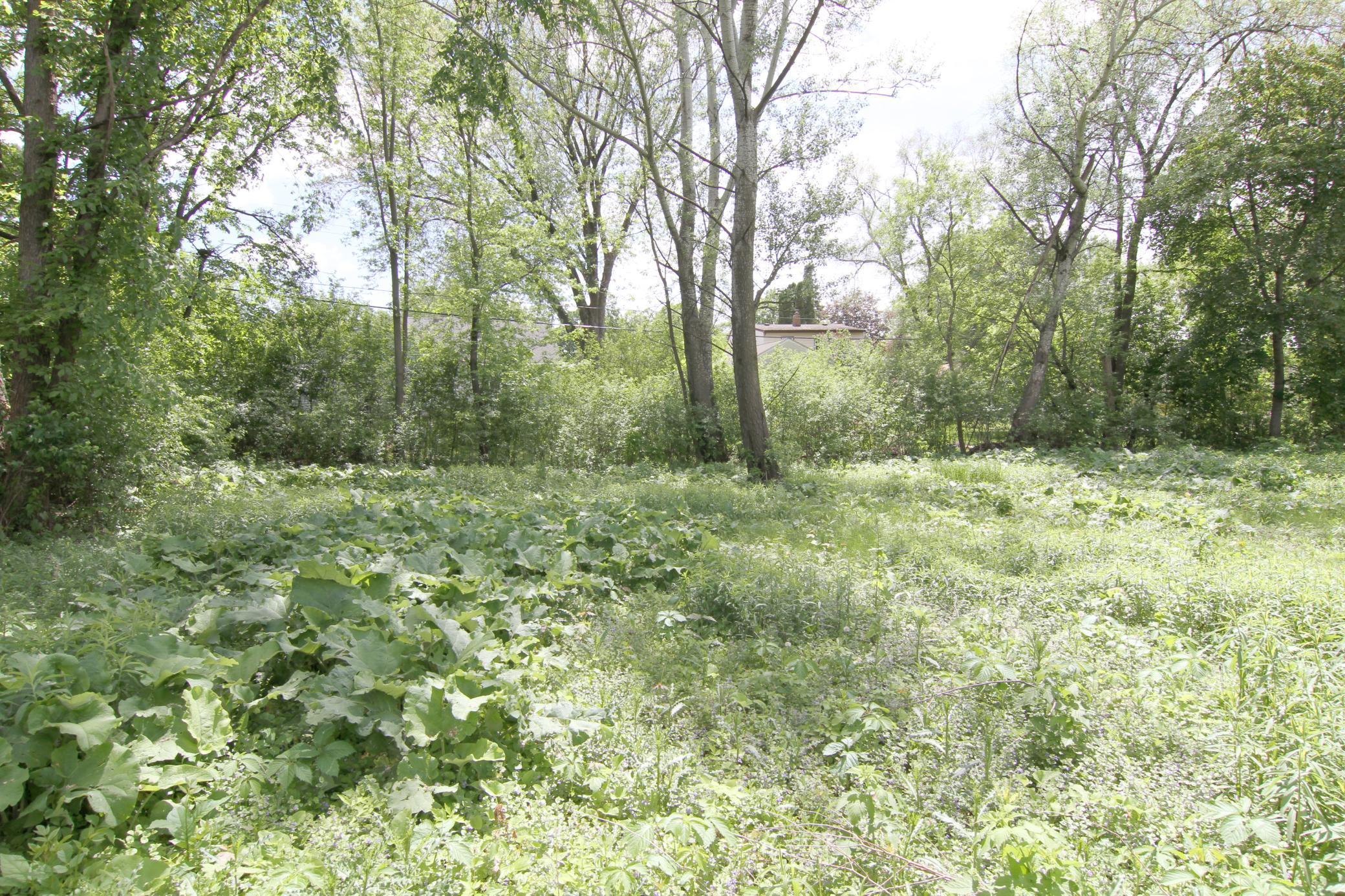 17xx Cope Avenue, Saint Paul, Minnesota image 7