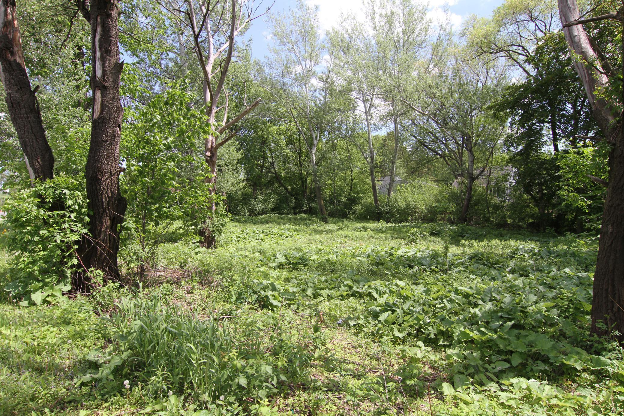 17xx Cope Avenue, Saint Paul, Minnesota image 8