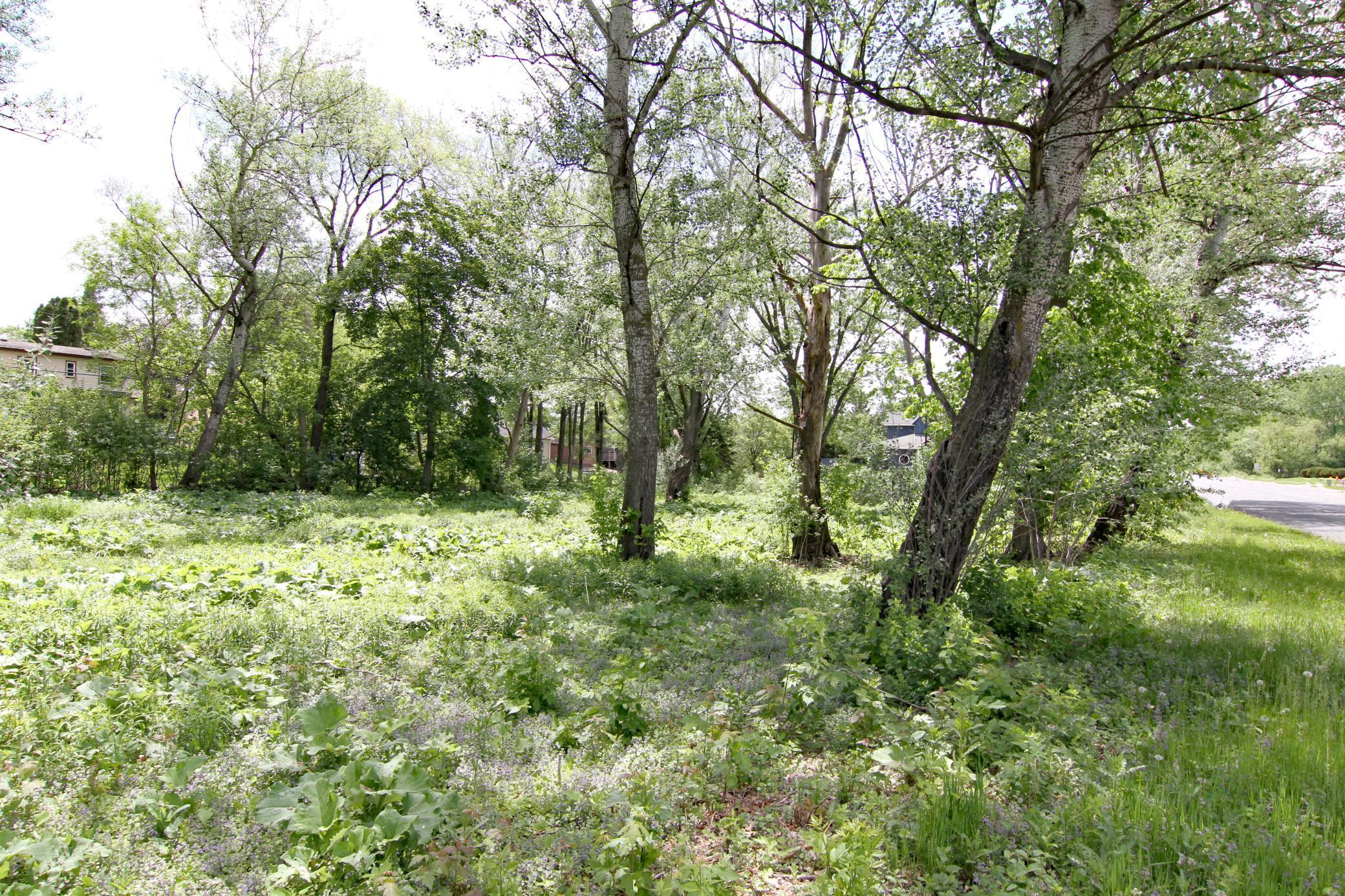 17xx Cope Avenue, Saint Paul, Minnesota image 2