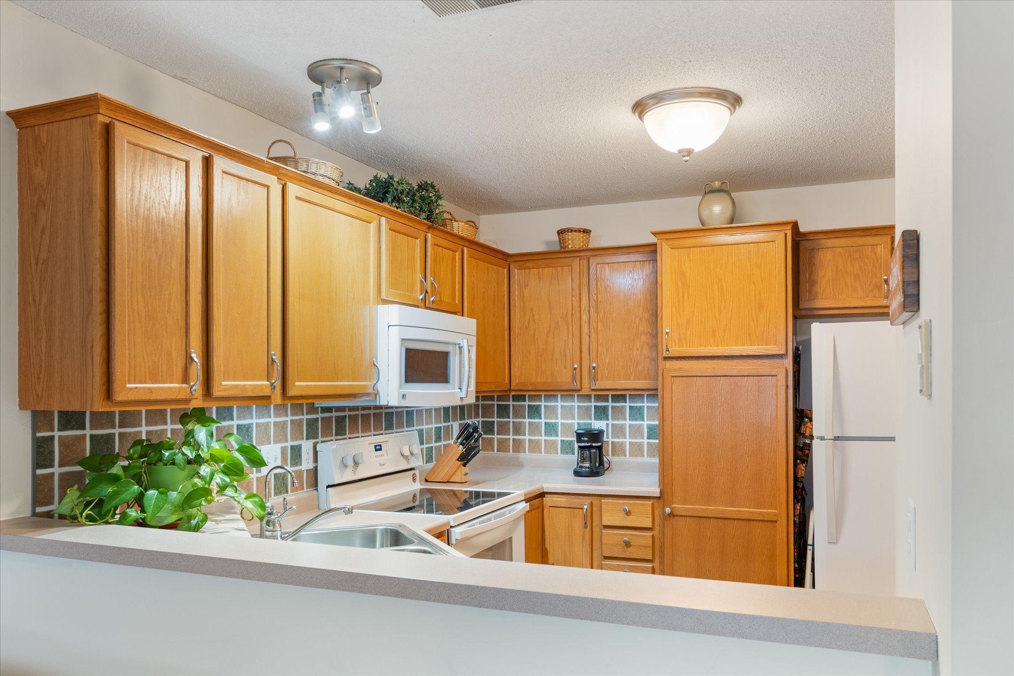 452 Aqua Circle, Circle Pines, Minnesota image 7