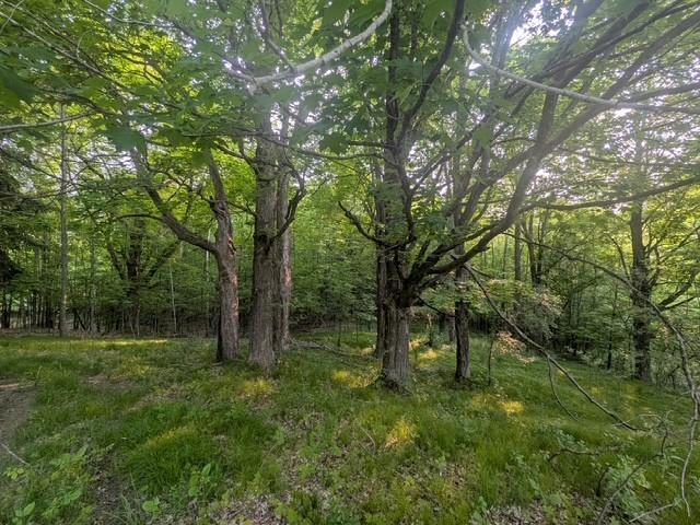 870 Cattail Way, Turtle Lake, Wisconsin image 5