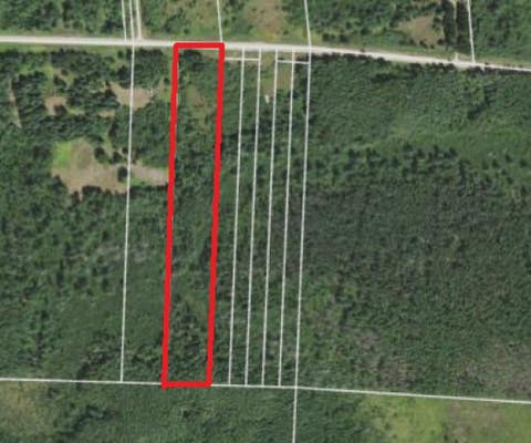 Vacant Land For Sale - TBD County Rd 55<br/> Itasca County, Nashwauk, MN 55769