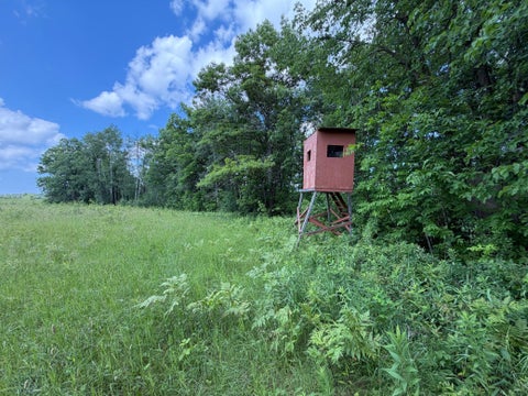 Vacant Land For Sale - 32723 125th Avenue<br/> Mille Lacs County, Onamia, MN 56359