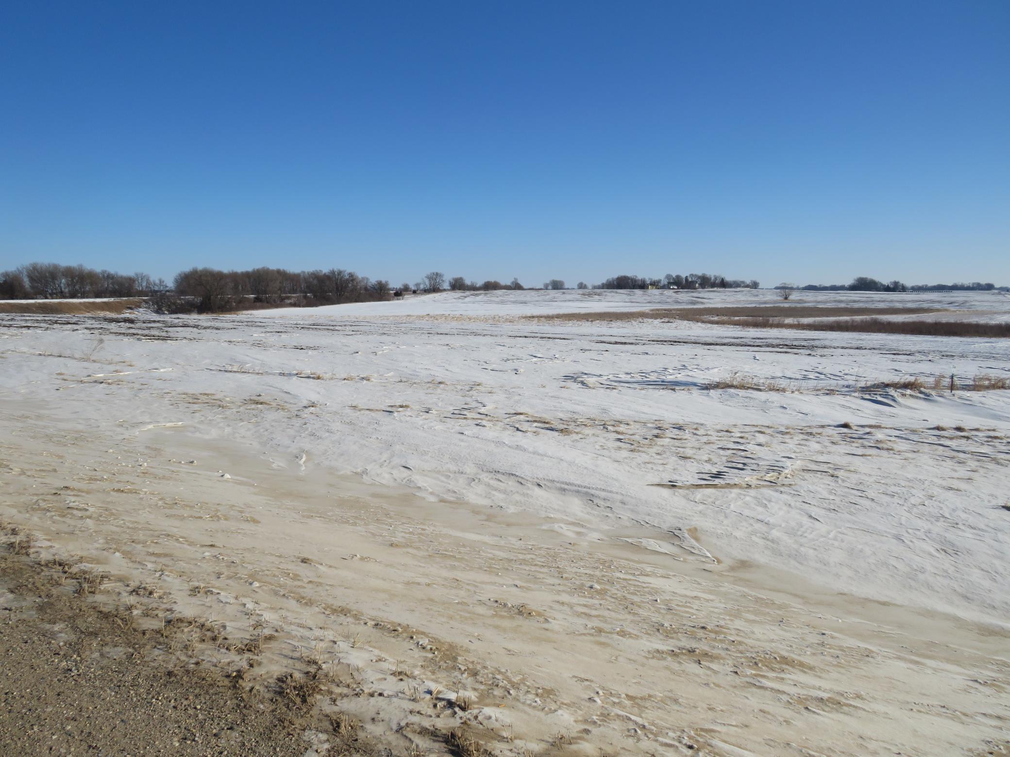 Xxxxx Lace Avenue, Glencoe, Minnesota image 6