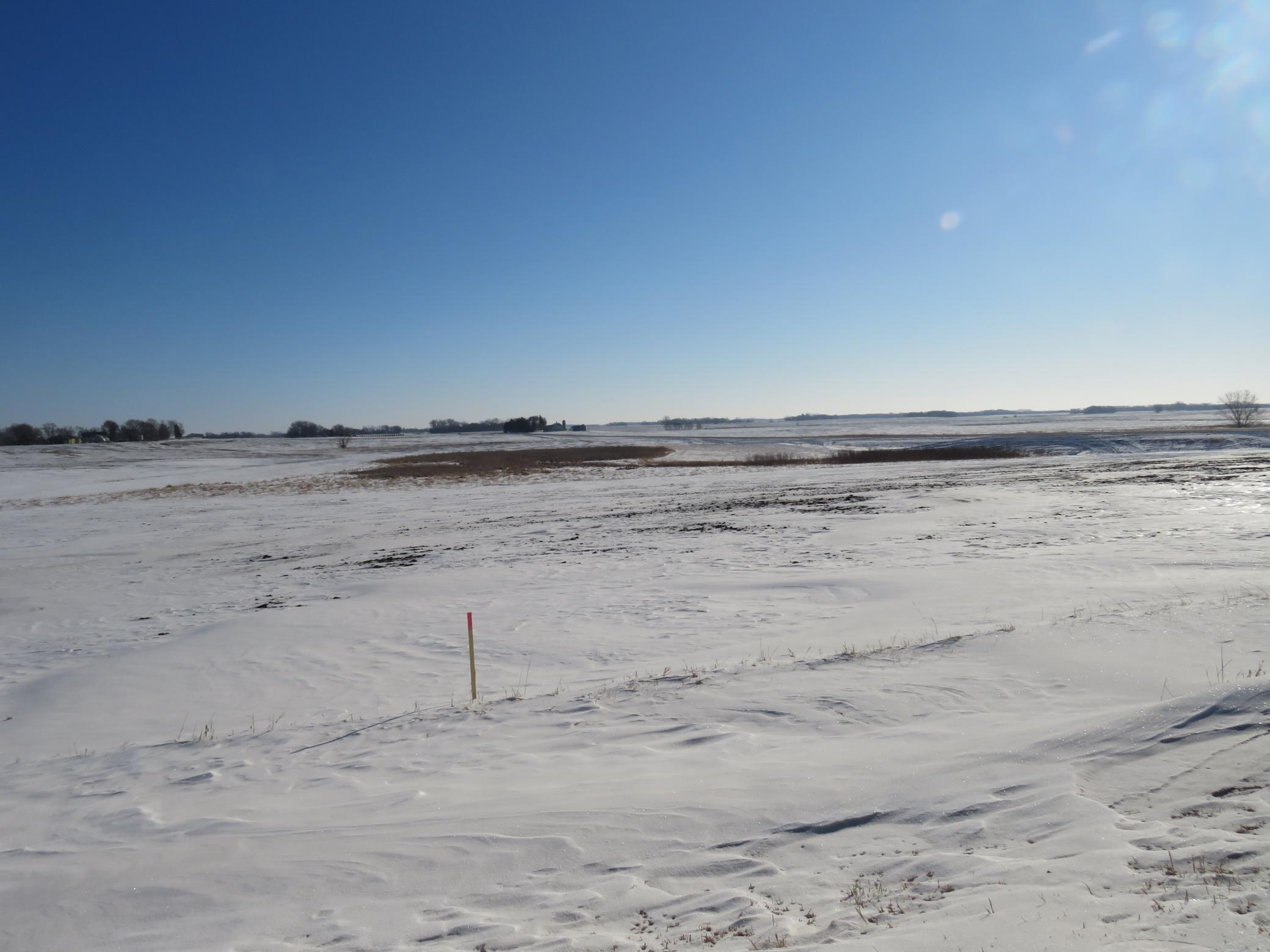 Xxxxx Lace Avenue, Glencoe, Minnesota image 9