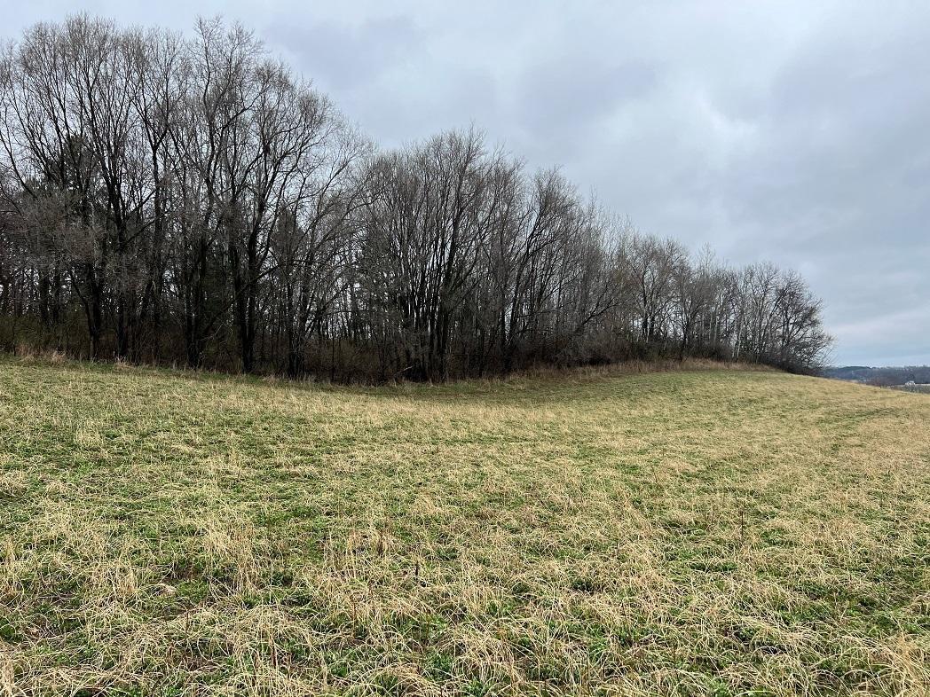TBD Nicholes Road, Mondovi, Wisconsin image 3