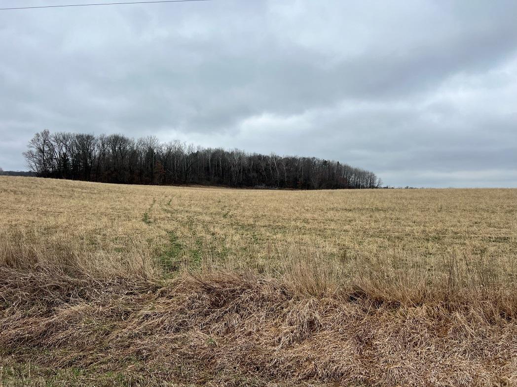 TBD Nicholes Road, Mondovi, Wisconsin image 7