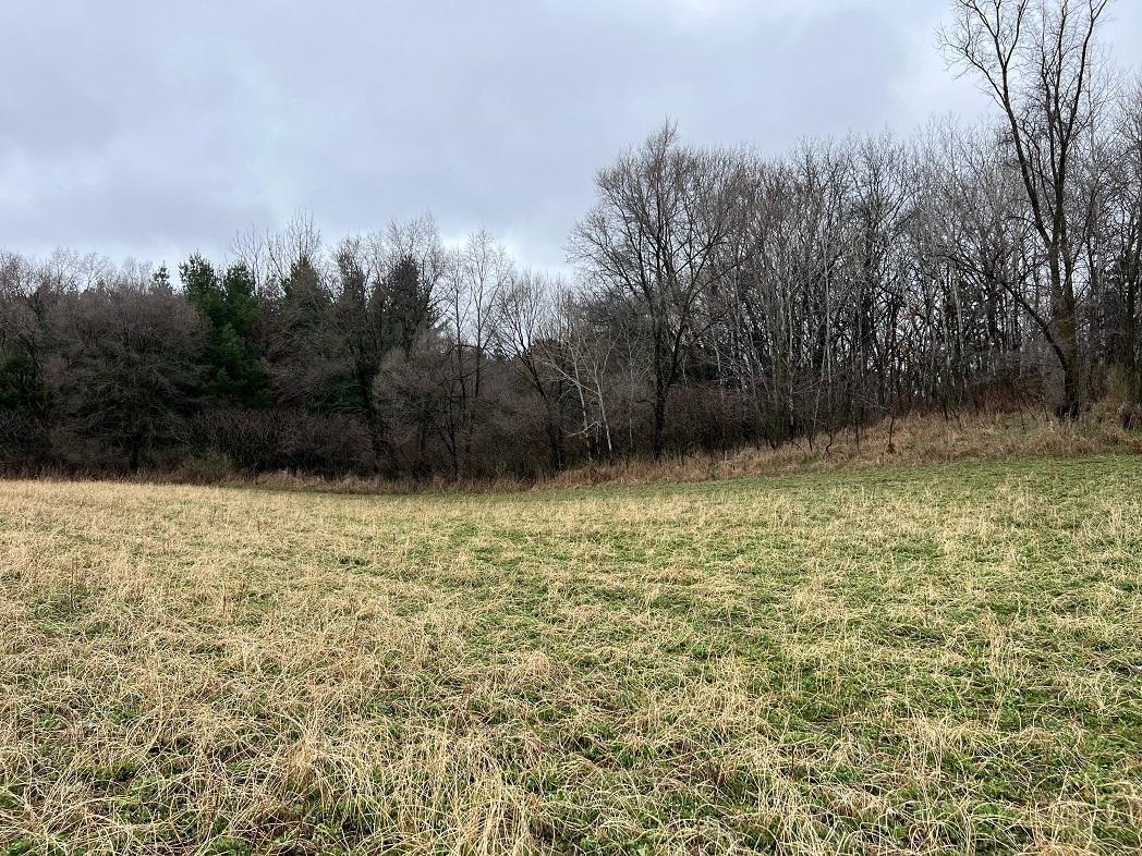 TBD Nicholes Road, Mondovi, Wisconsin image 5