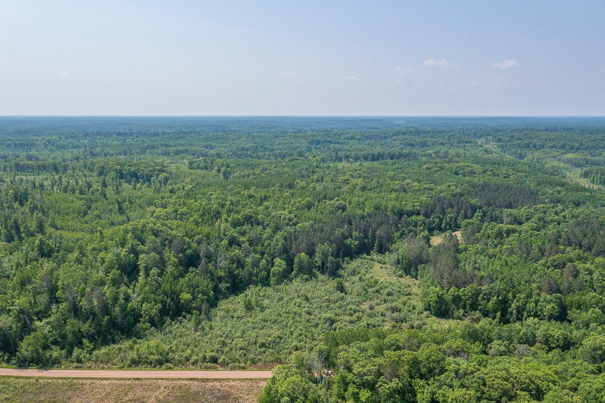 Tbd S. Black Bear Road, Ironton, Minnesota image 14