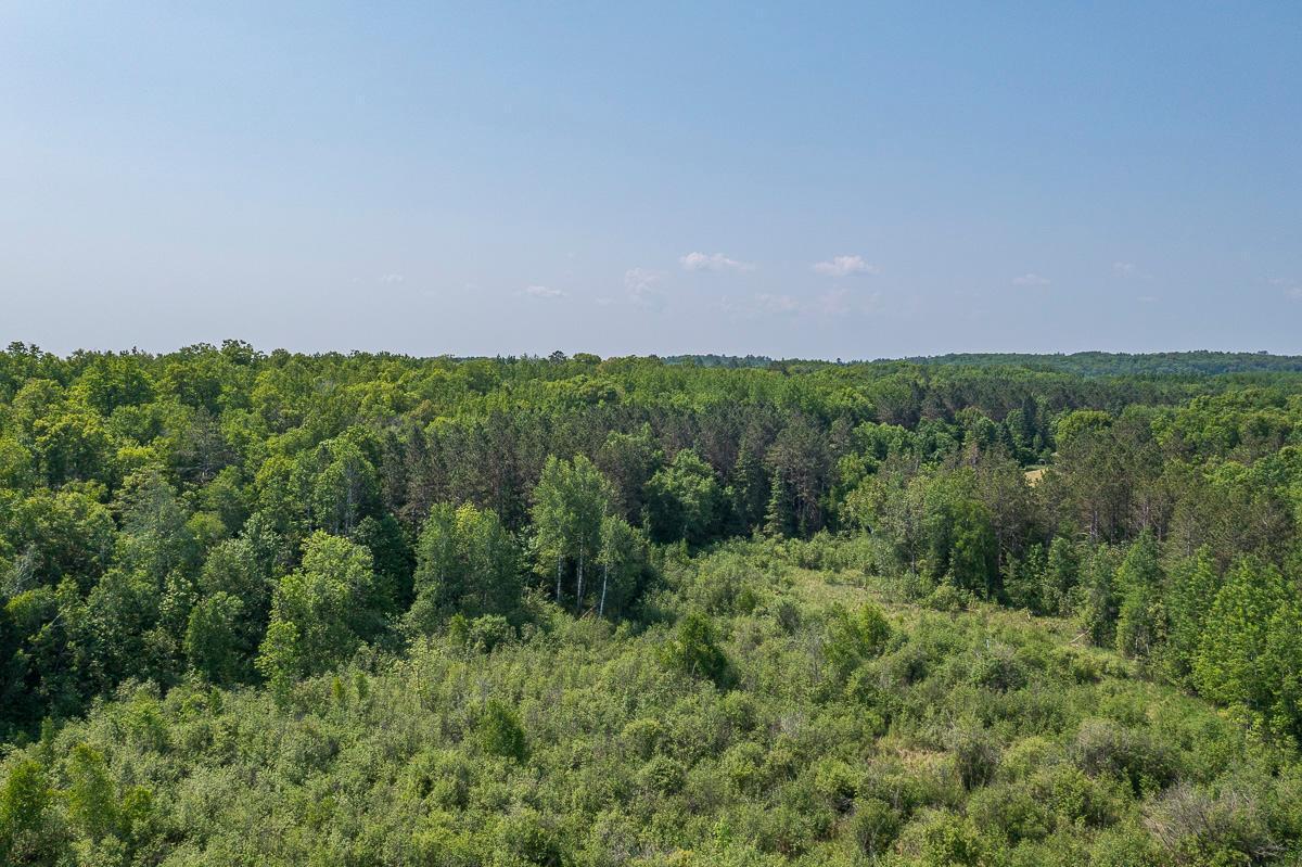 Tbd S. Black Bear Road, Ironton, Minnesota image 15