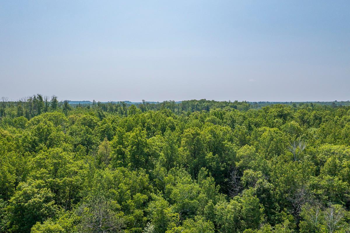 Tbd S. Black Bear Road, Ironton, Minnesota image 17