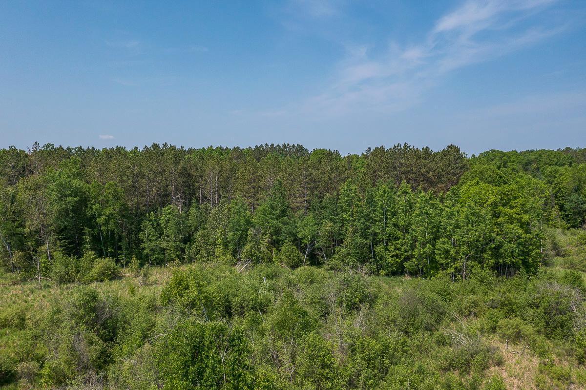 Tbd S. Black Bear Road, Ironton, Minnesota image 18