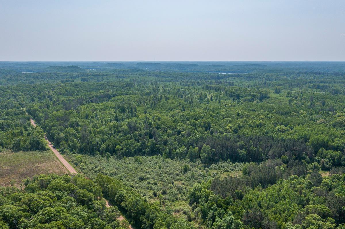 Tbd S. Black Bear Road, Ironton, Minnesota image 13