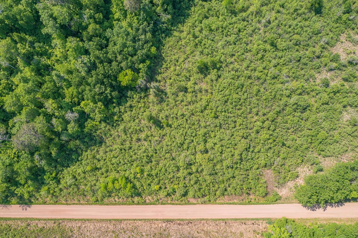 Tbd S. Black Bear Road, Ironton, Minnesota image 5