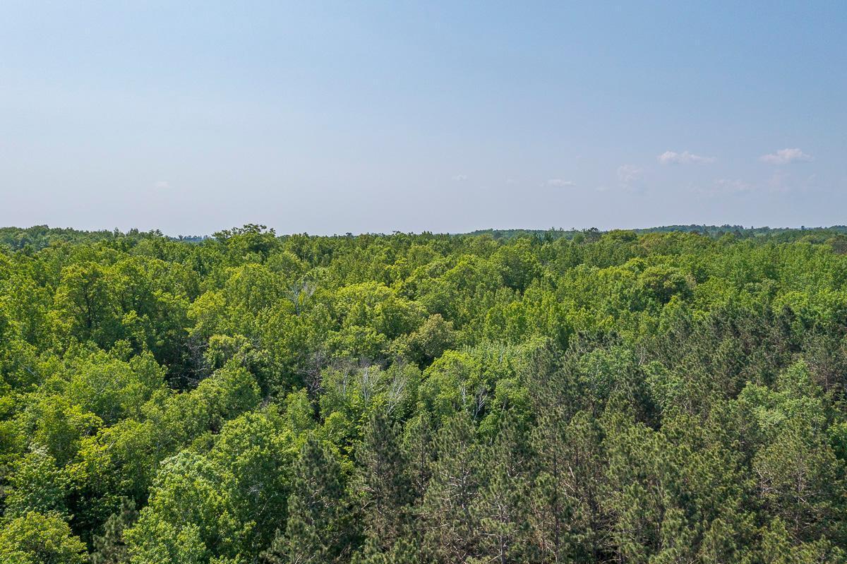 Tbd S. Black Bear Road, Ironton, Minnesota image 16