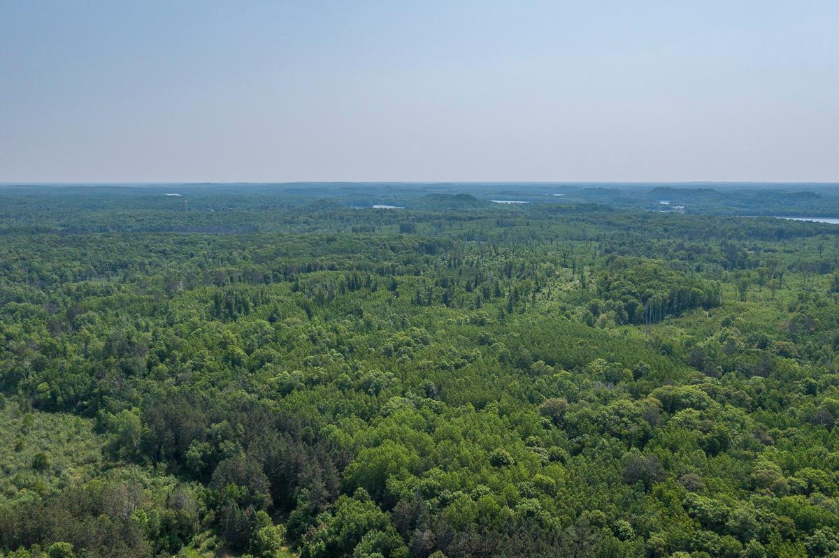 Tbd S. Black Bear Road, Ironton, Minnesota image 12
