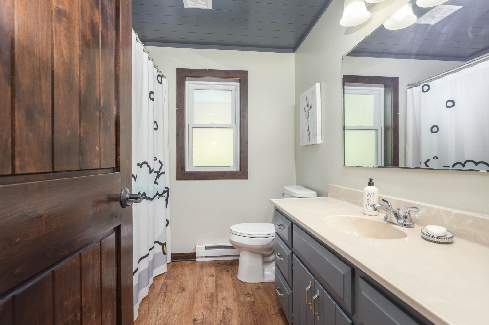 2510 Conifer Avenue, Alexandria, Minnesota image 24
