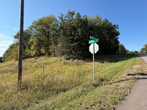 Vacant Land For Sale - 44015 100th Avenue<br/> Stearns County, Holdingford, MN 56340