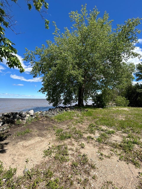 Vacant Land For Sale - 4548 Graceton Beach Road<br/> Lake Of The Woods County, Williams, MN 56686