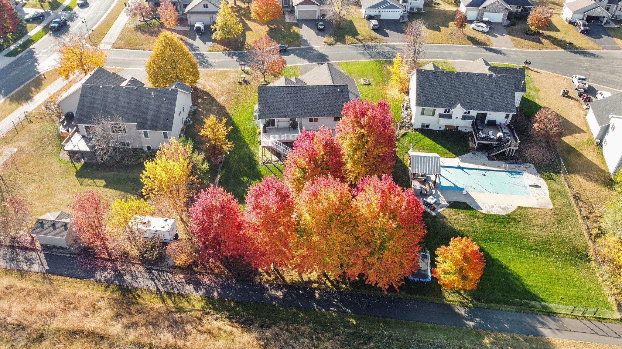 3111 228th Lane, Bethel, Minnesota image 23