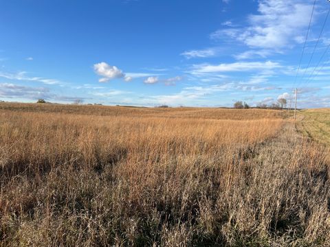 Vacant Land For Sale - 440 90th Avenue<br/> Swift County, Benson, MN 56215