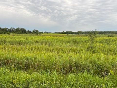 Vacant Land For Sale - TBD Olympic Street<br/> Kanabec County, Brook Park, MN 55007