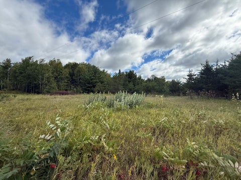 Vacant Land For Sale - TBD 159th Ave<br/> Bagley, MN 56621